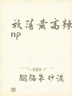 放荡黄高辣h文np封面