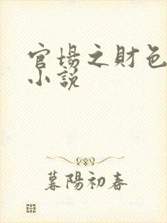 官场之财色诱人小说