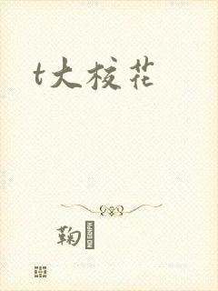 t大校花