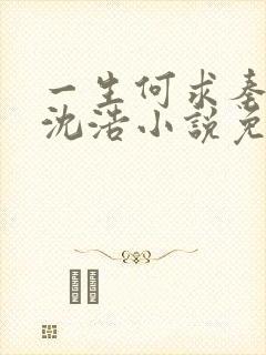 一生何求秦菲雪沈浩小说免费阅读全文封面