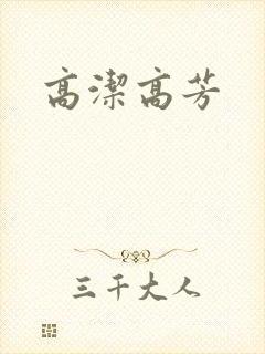高洁高芳封面