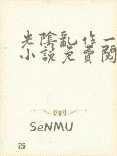 光阴乱作一团的小说免费阅读