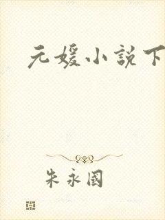 元媛小说下载