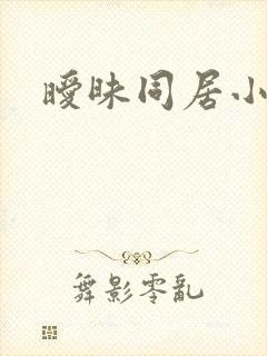 暧昧同居小说封面