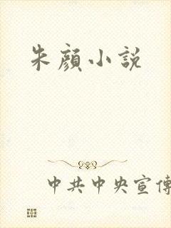 朱颜小说封面