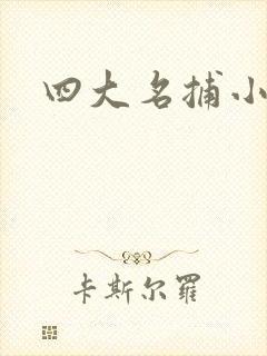 四大名捕小说