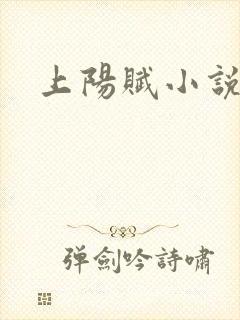 上阳赋小说
