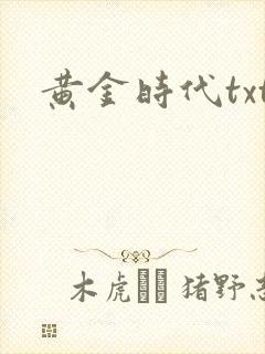 黄金时代txt