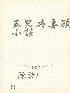 五兄共妻顾心儿小说