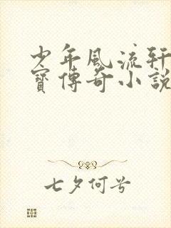 少年风流轩辕大宝传奇小说封面
