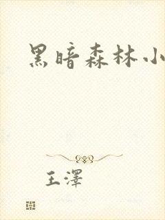 黑暗森林小说