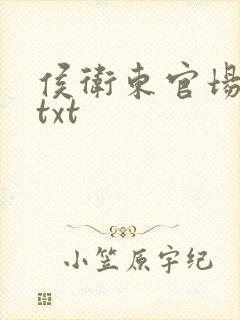 侯卫东官场笔记txt