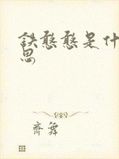 铁憨憨是什么意思