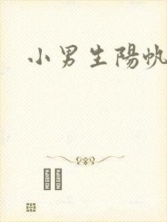 小男生阳帆