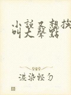小说又想挨C了叫大声点封面