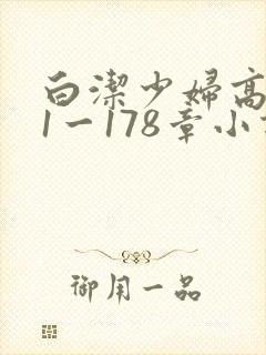 白洁少妇高义第1一178章小说封面