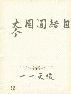 大团圆结目录大全