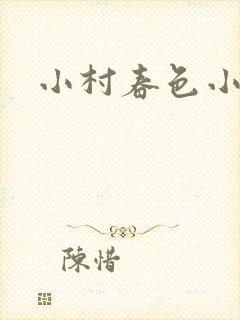 小村春色小说