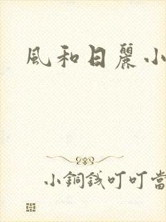 风和日丽小说封面