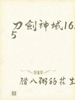 刀剑神域16.5