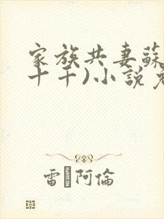 家族共妻苏苏(十千)小说免费
