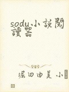 sodu小说阅读器封面