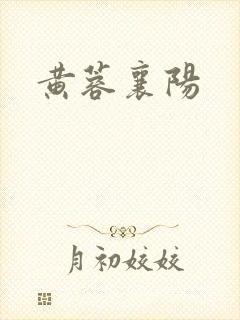 黄蓉襄阳