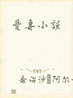 爱妻小说