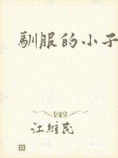 驯服的小子4