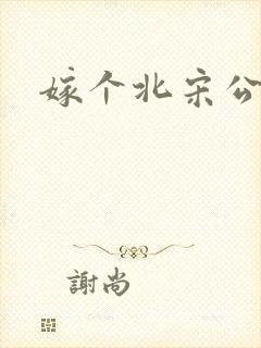 嫁个北宋公务员封面