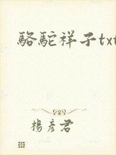 骆驼祥子txt