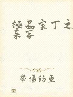 极品家丁之远方来客封面