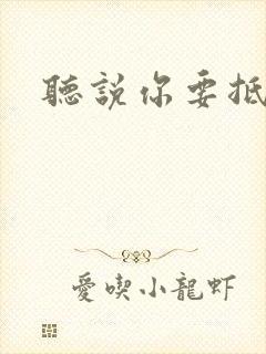 听说你要抵抗我
