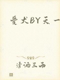 爱犬BY天一封面