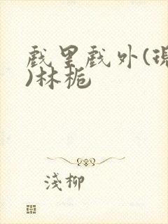 戏里戏外(现场)林栀