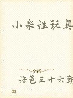 小米性玩具日记