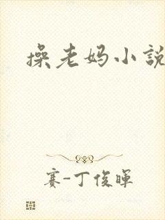 操老妈小说