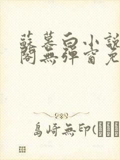 苏慕白小说笔趣阁无弹窗免费阅读