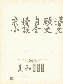 宋惜月顾浔渊的小说全文免费阅读