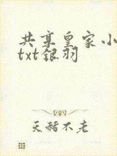 共享皇家小公主txt银羽