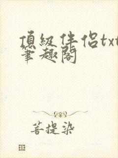 顶级伴侣txt笔趣阁
