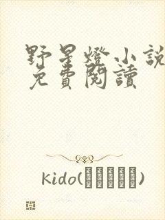 野星灯小说全文免费阅读