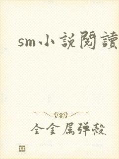sm小说阅读