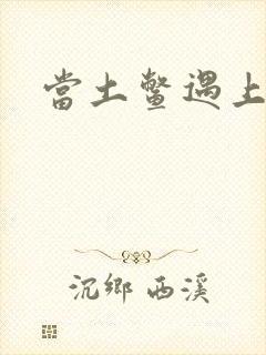 当土鳖遇上海龟
