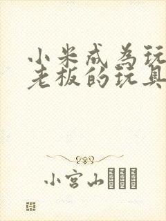 小米成为玩具店老板的玩具