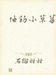 他的小草莓封面