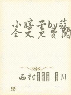 小瞎子by苏软全文免费阅读封面