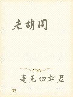 老胡同