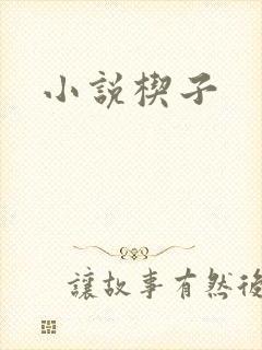 小说楔子封面