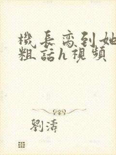 机长脔到她哭h粗话h视频